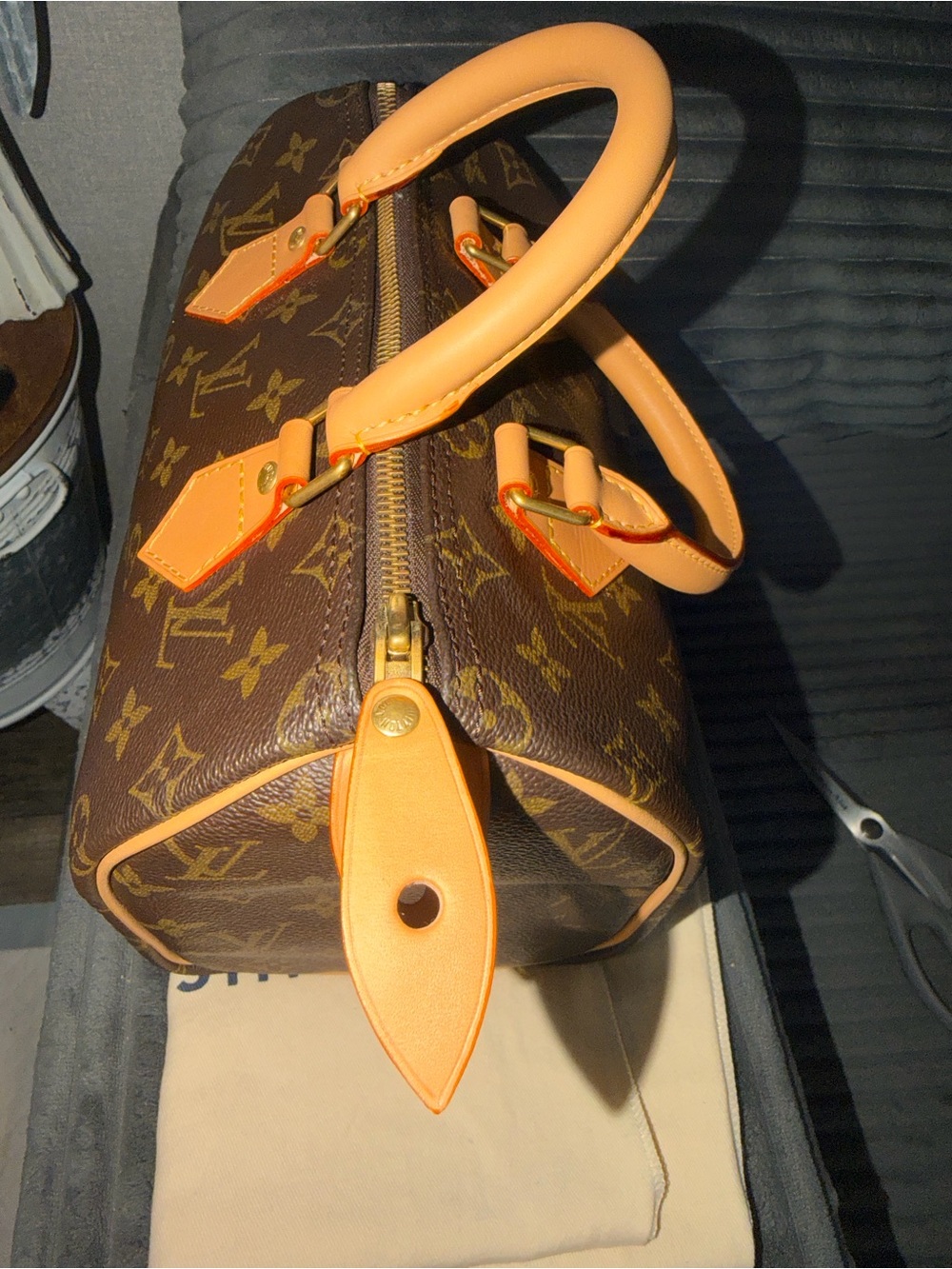 Louis Vuitton Speedy 25 bag